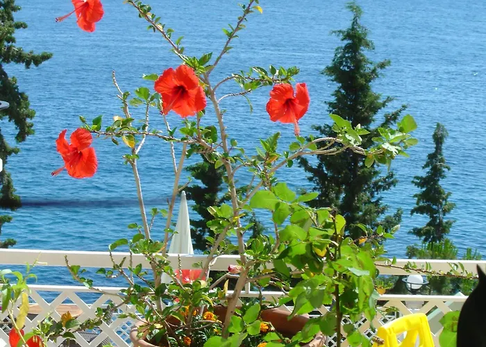 Medusa Hotel Kaş