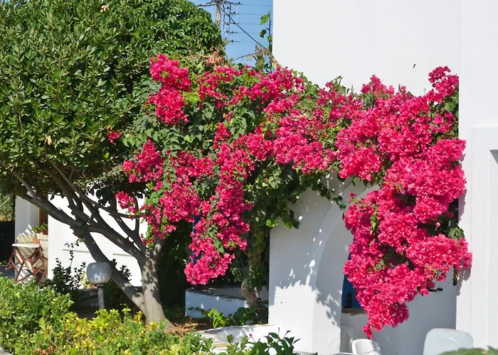 Dilino Hotel Studios Agios Prokopios 