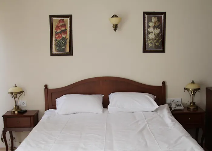Basileus Hotel Istanbul