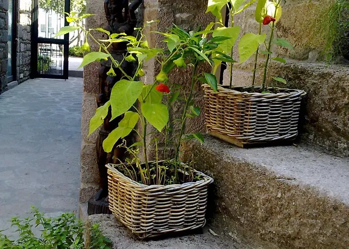 Assosyal Hotel
