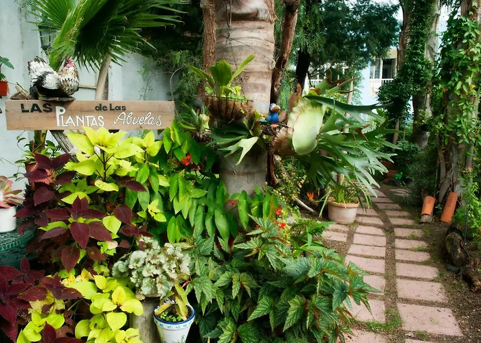 Apartamentos Adjovimar Los Llanos De Aridane