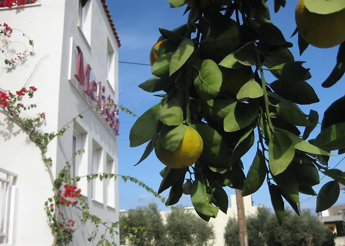 Melissa Apartments, Studios & Suites Malia