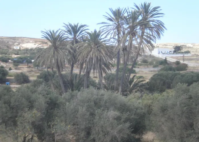 Hotel Delfini Adamantas