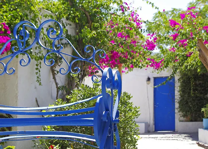 Palm Beach Hotel - Adults Only Kos Town