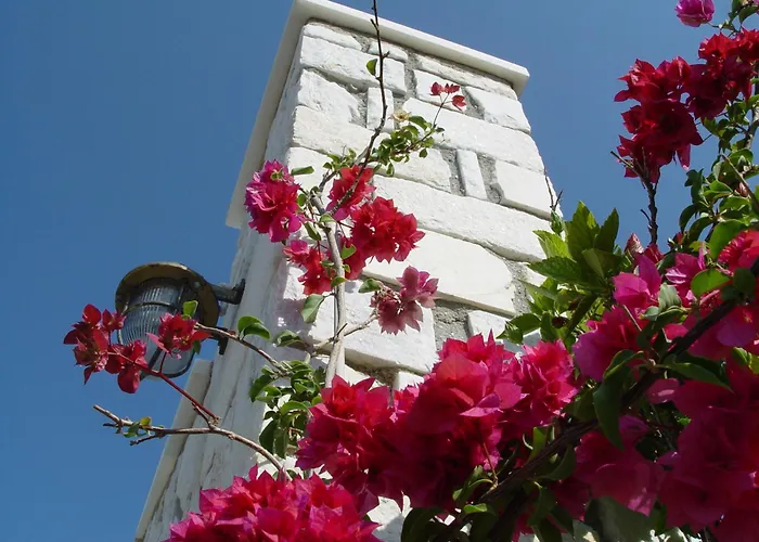 Anna Platanou Hotel Páros