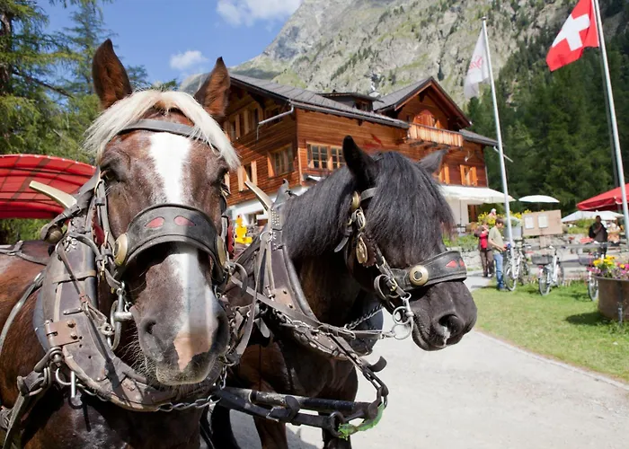 Gasthaus Spinas Bever