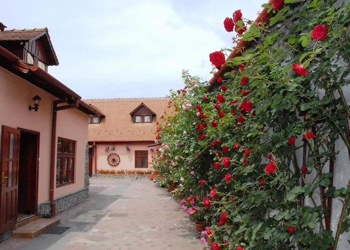 Pension Ela Hermannstadt