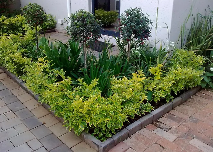 Rosebank Lodge Guesthouse By Claires Johannesburg