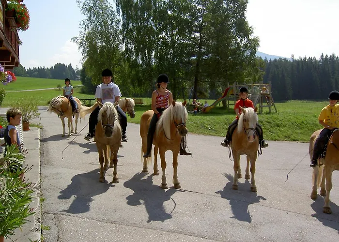 Hotel Stockerwirt Ramsau am Dachstein
