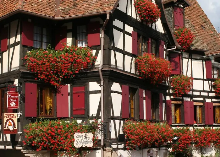 Hôtel Restaurant Zum Schnogaloch Obernai