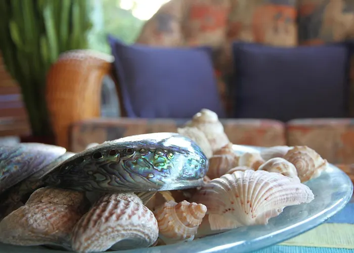 Chalet Romantica Paihia