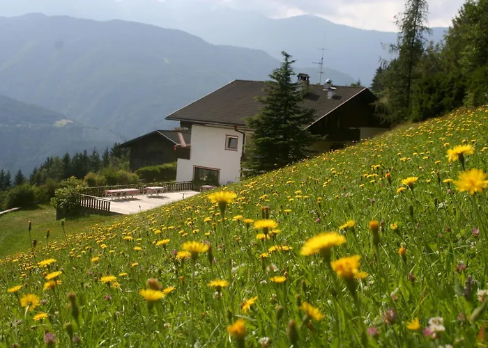 Biogasthaus Plonerhof "Sweet Dolomites View" Brixen