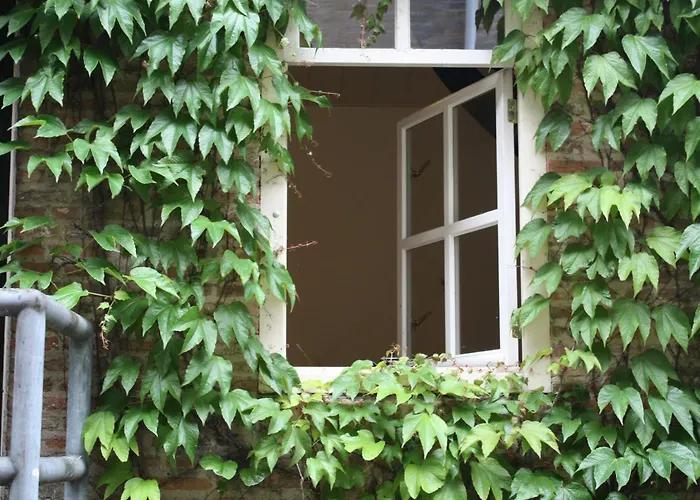 De Hemel De Kracht Van Ambacht Nimwegen