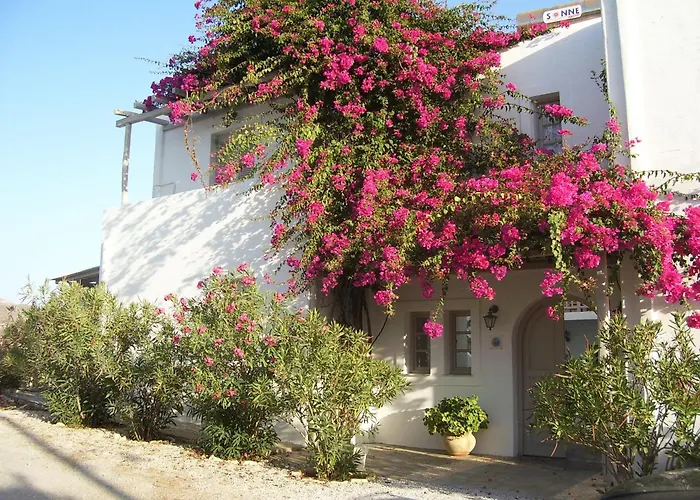 Despina'S Mare Aparthotel Naousa