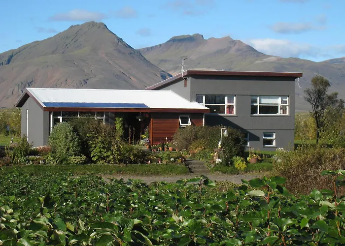 Dilksnes Guesthouse Hofn