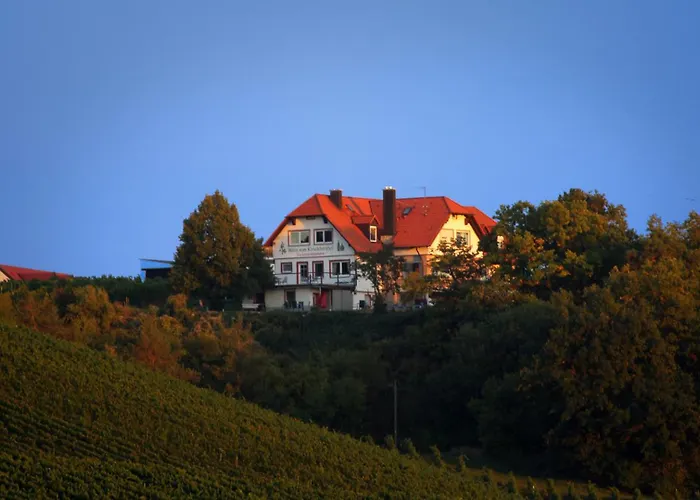 Kirschberghof Gästehaus und Weinverkauf Sommerhausen