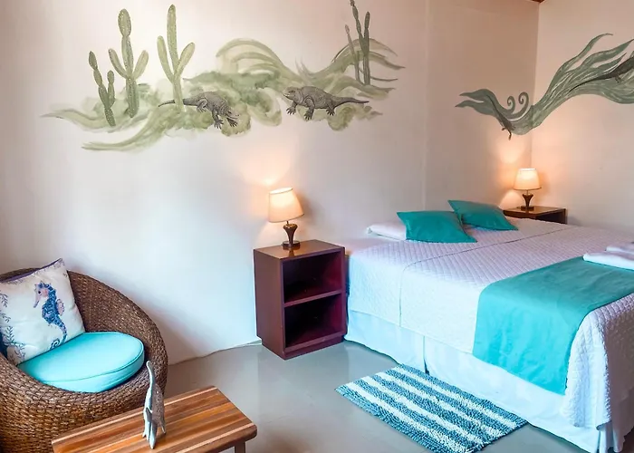 Hotel Coral Blanco With High Speed Internet Starlink And Galapagos Tour Operator Puerto Villamil