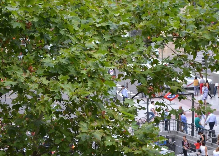 Hostal El Brezo Madrid