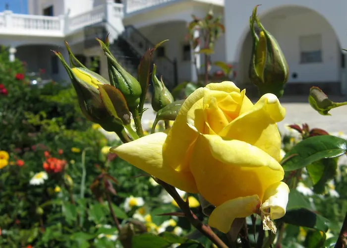 Residencia Quinta Do Poco Guesthouse Sagres