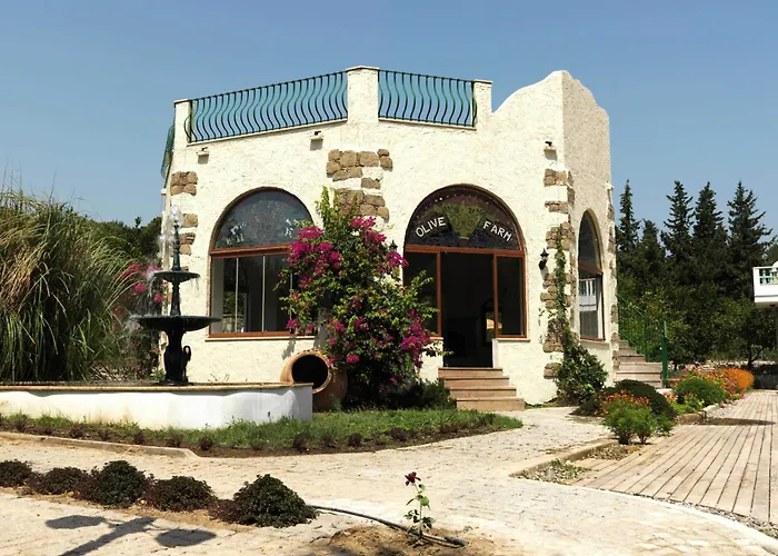 Olive Farm Of Datca Guesthouse (Adults Only)