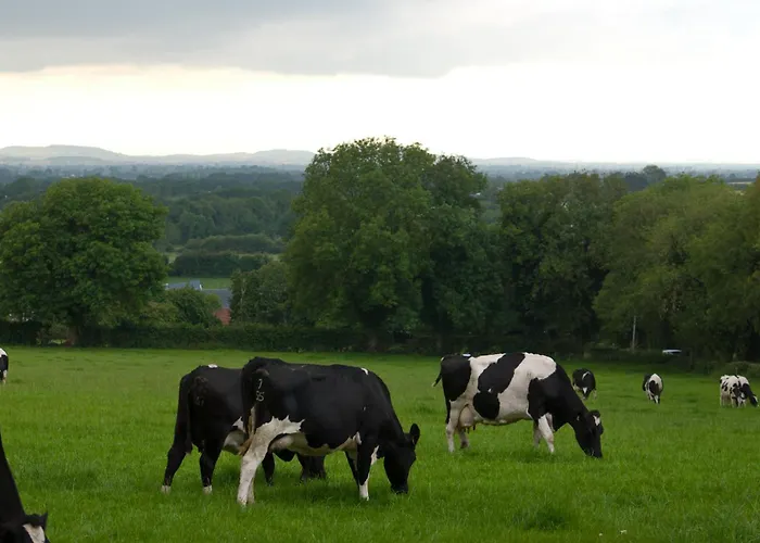 Ballindrum Farm B&B Athy