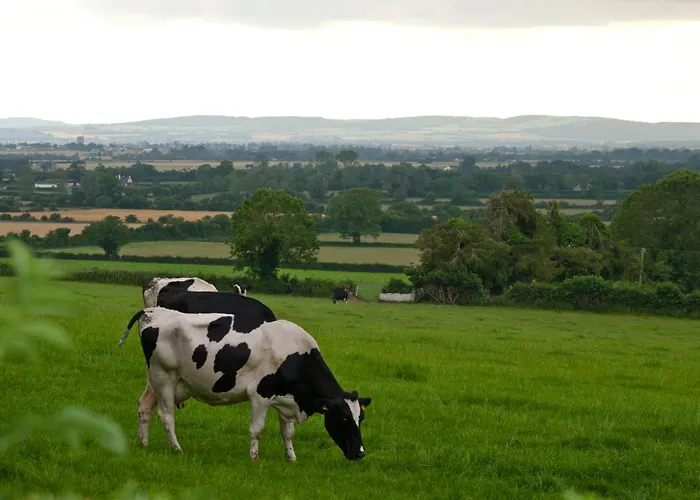 Ballindrum Farm B&B Athy