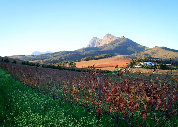 Marianne Wine Estate Bed and Breakfast Stellenbosch