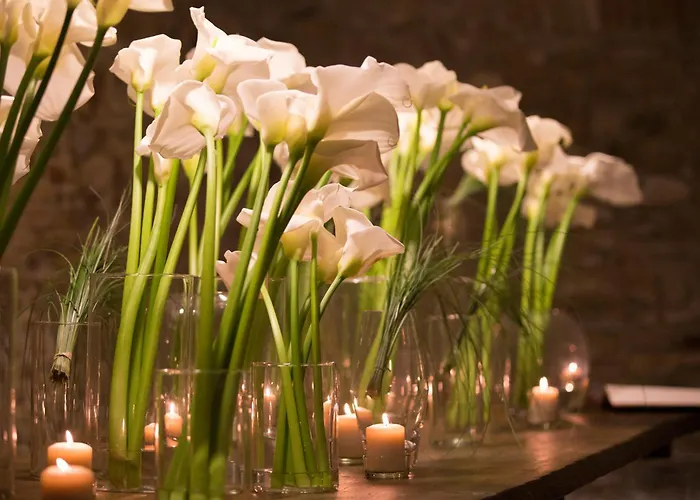 Residenza Amblingh Bed & Breakfast Vasto