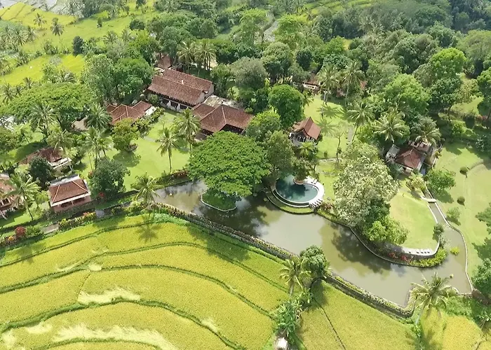 Ijen Resort&Villas - The Hidden Paradise Banyuwangi 