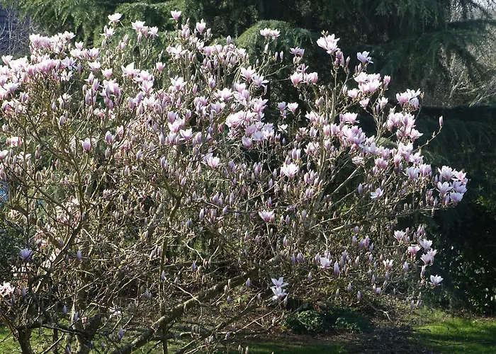 Les Prunelliers Rambouillet