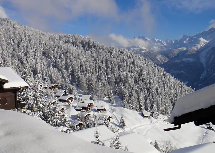 Hotel Slalom Bettmeralp