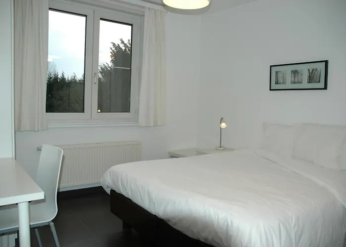 Lavan Leuven