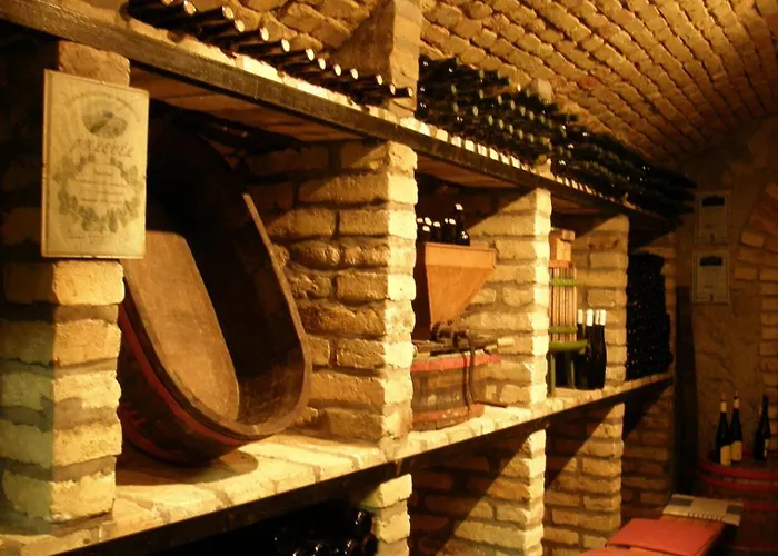 Borbaratok Panzio Hotel Badacsonytomaj