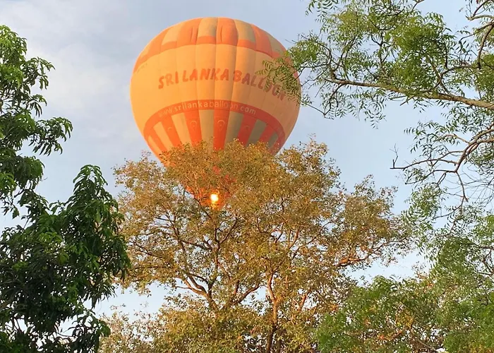 Eden Grand Hotel Dambulla