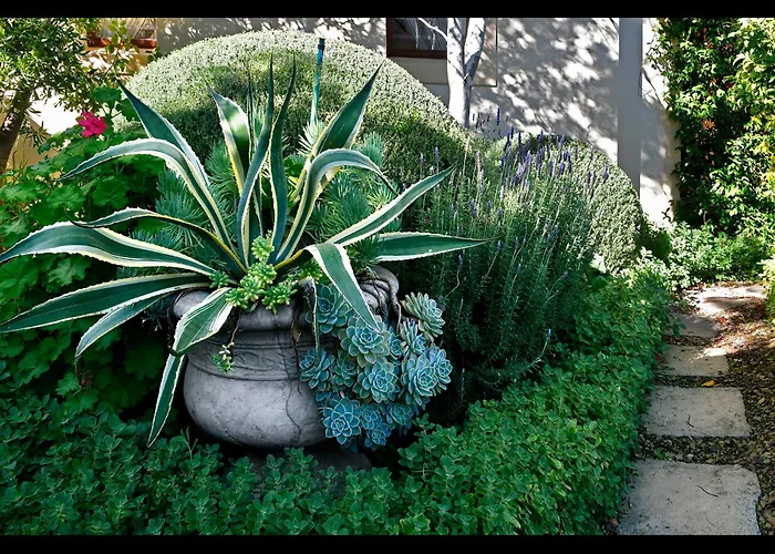 Petit Plaisir Is A Romantic Self-Catering Cottage On The Side Of The Village No1 Franschhoek
