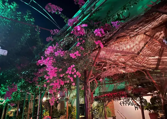 Kıbrıs Evi  Otel Gazimağusa