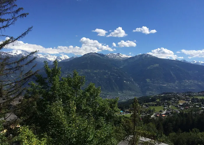 Hotel De La Foret Crans-Montana