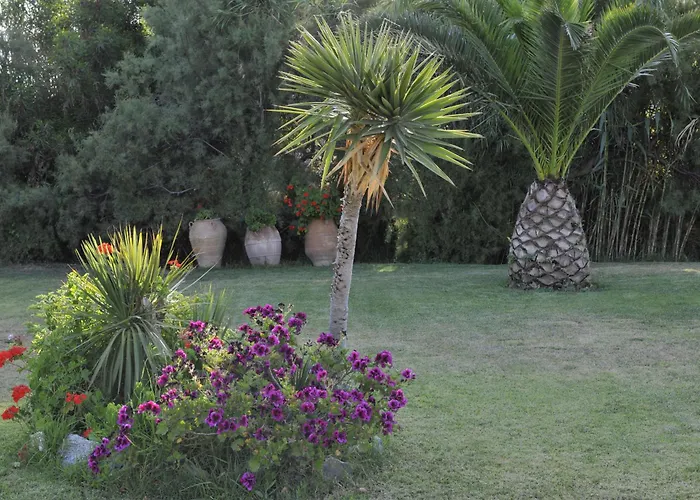 Ammos Naxos Exclusive Apartments & Studios Naxos City