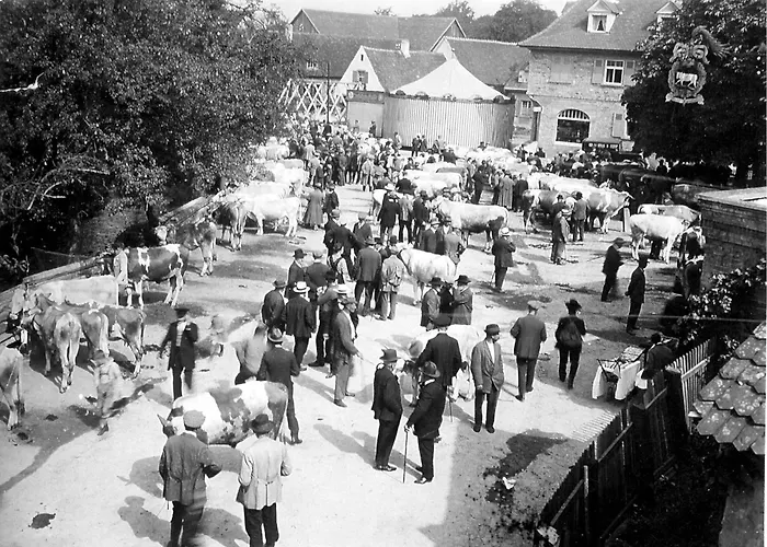 Ox Hotel Heitersheim