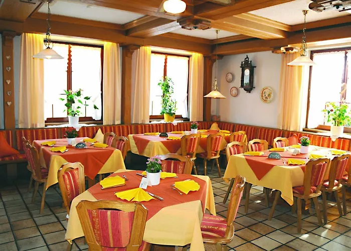 Hotel Schwarzes Ross Schwarzach am Main