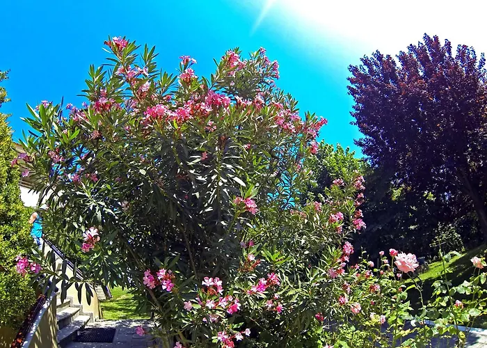 Macedon Hotel Limenas 