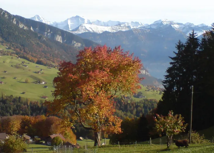 Hotel Rothorn Vintage-Style Sigriswil