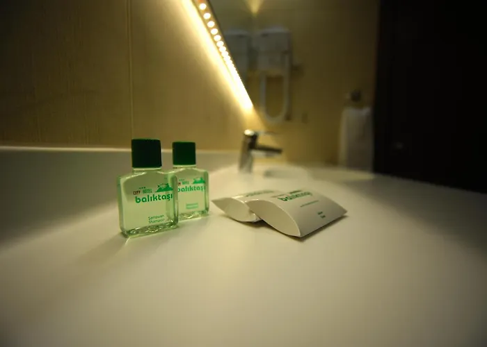 Baliktasi City Hotel & Spa Ordu