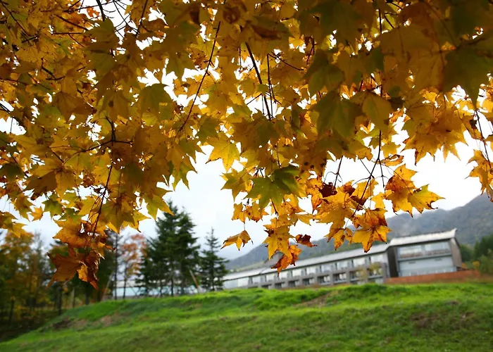 Furano Hotel 富良野ホテル