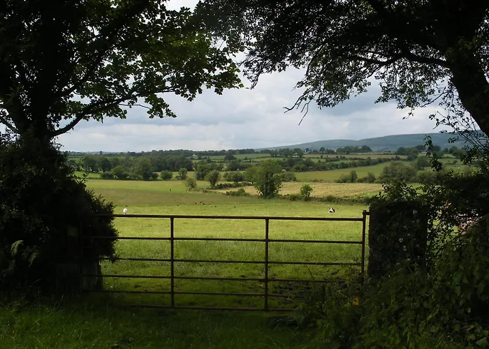 Brandon View House B&B Graiguenamanagh