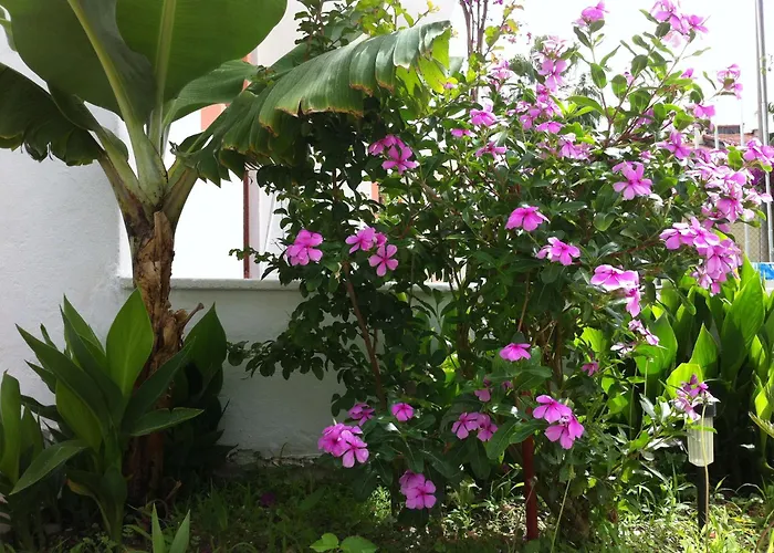 Flower Villa Apart Kemer