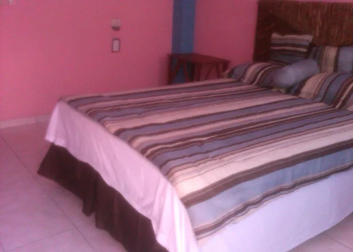 La Delphina Bed And Breakfast Bar And Grill La Ceiba