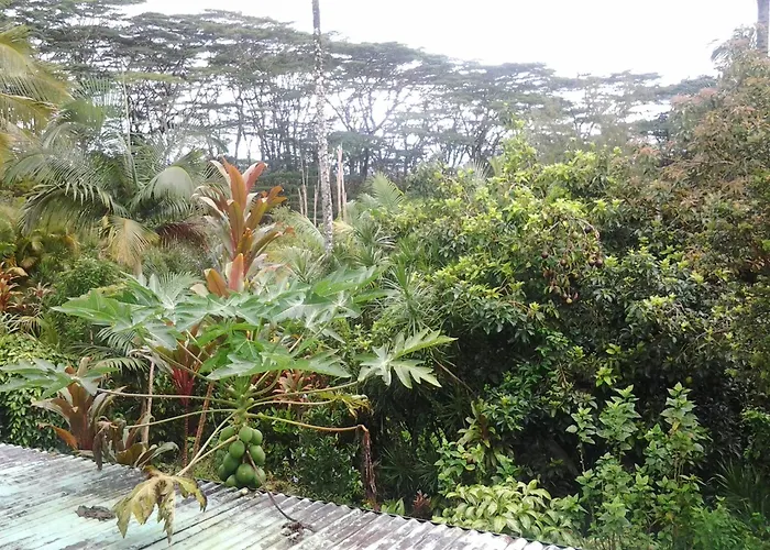 Lava Tree Tropic Inn Pahoa