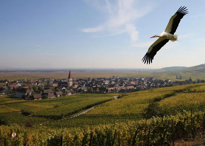 Les Chambres Du Vignoble Ammerschwihr