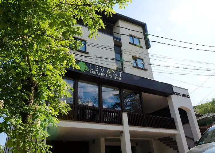 Hotel Miraj Ramnicu Valcea